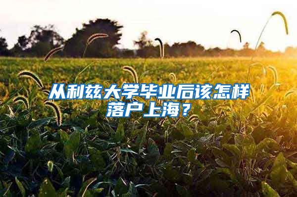 從利茲大學(xué)畢業(yè)后該怎樣落戶上海？