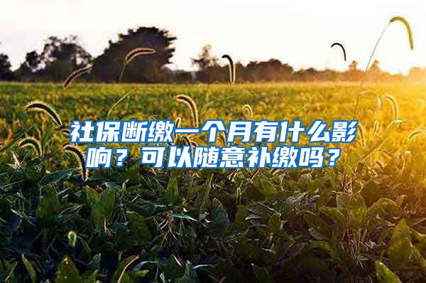 社保斷繳一個(gè)月有什么影響？可以隨意補(bǔ)繳嗎？