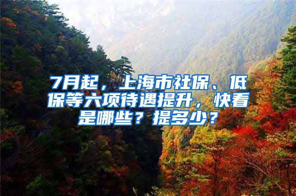 7月起，上海市社保、低保等六項待遇提升，快看是哪些？提多少？