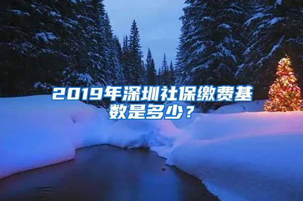 2019年深圳社保繳費基數(shù)是多少？