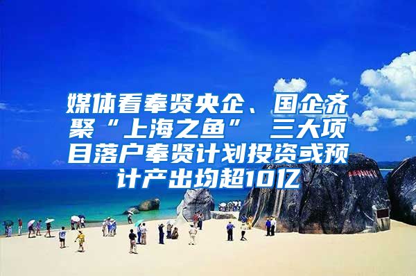 媒體看奉賢央企、國企齊聚“上海之魚” 三大項目落戶奉賢計劃投資或預(yù)計產(chǎn)出均超10億