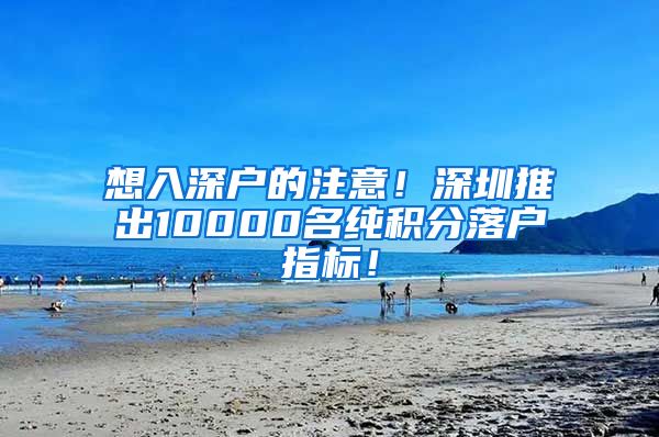 想入深戶的注意！深圳推出10000名純積分落戶指標(biāo)！