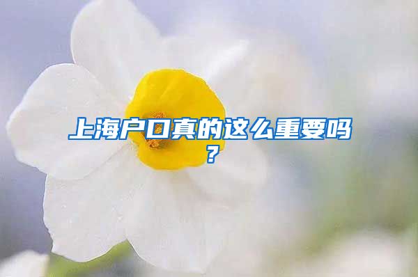 上海戶口真的這么重要嗎？