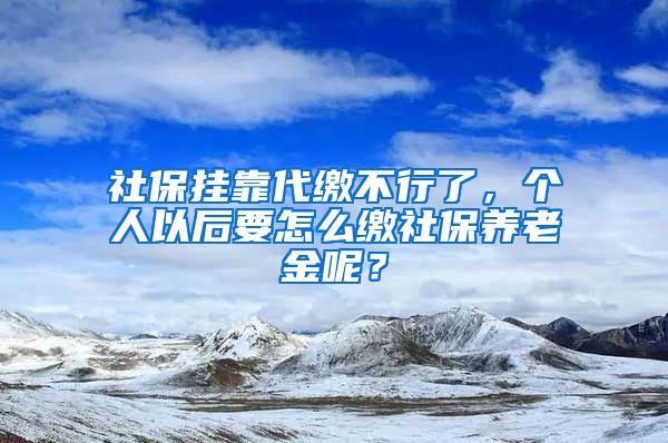 社保掛靠代繳不行了，個(gè)人以后要怎么繳社保養(yǎng)老金呢？