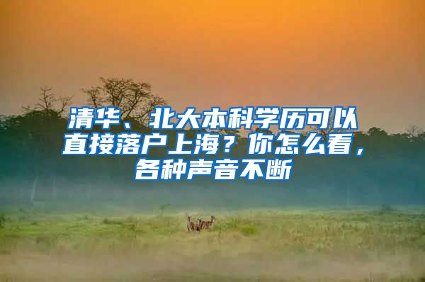 清華、北大本科學(xué)歷可以直接落戶上海？你怎么看，各種聲音不斷