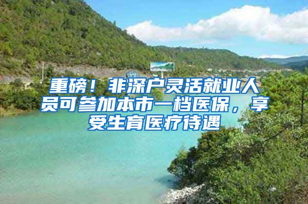 重磅！非深戶靈活就業(yè)人員可參加本市一檔醫(yī)保，享受生育醫(yī)療待遇