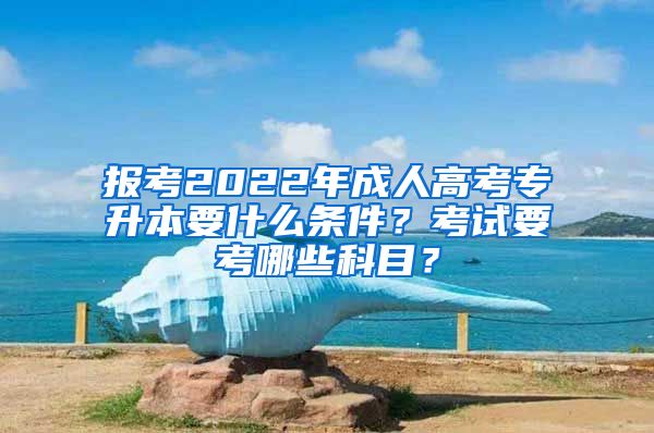 報考2022年成人高考專升本要什么條件？考試要考哪些科目？