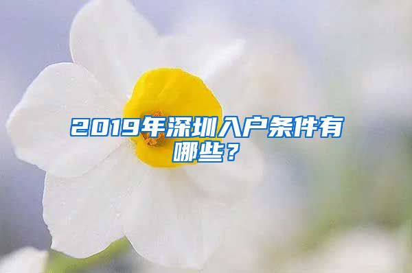 2019年深圳入戶條件有哪些？