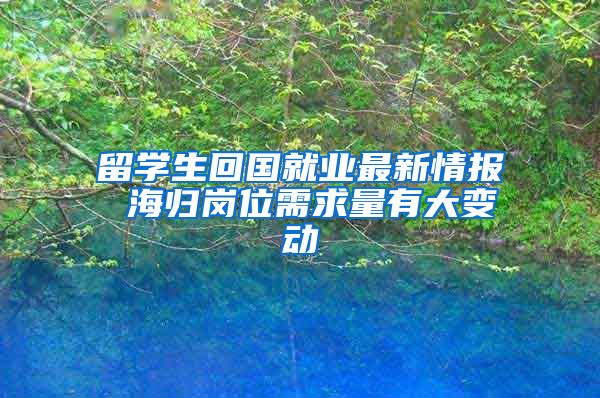 留學生回國就業(yè)最新情報 海歸崗位需求量有大變動