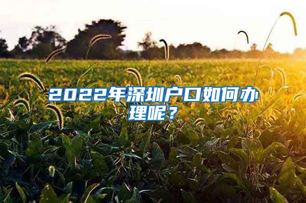 2022年深圳戶口如何辦理呢？