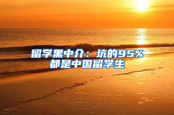 留學黑中介：坑的95%都是中國留學生