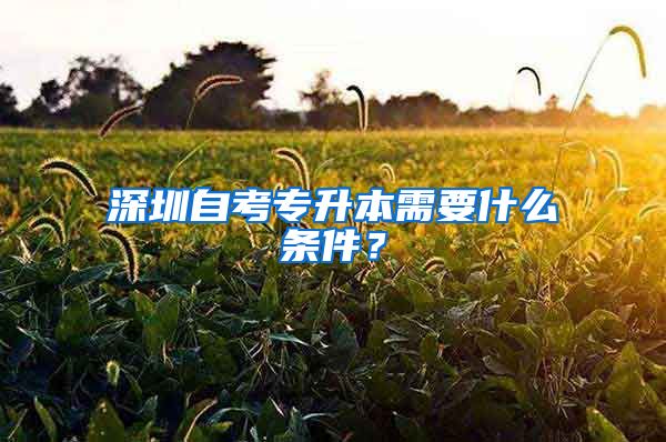 深圳自考專升本需要什么條件？