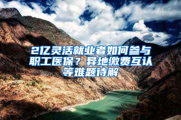 2億靈活就業(yè)者如何參與職工醫(yī)保？異地繳費互認(rèn)等難題待解