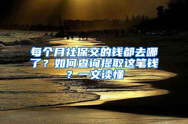 每個月社保交的錢都去哪了？如何查詢提取這筆錢？一文讀懂