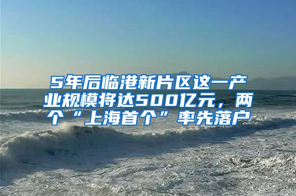 5年后臨港新片區(qū)這一產(chǎn)業(yè)規(guī)模將達(dá)500億元，兩個(gè)“上海首個(gè)”率先落戶