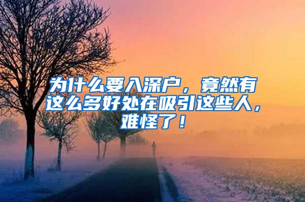 為什么要入深戶，竟然有這么多好處在吸引這些人，難怪了！