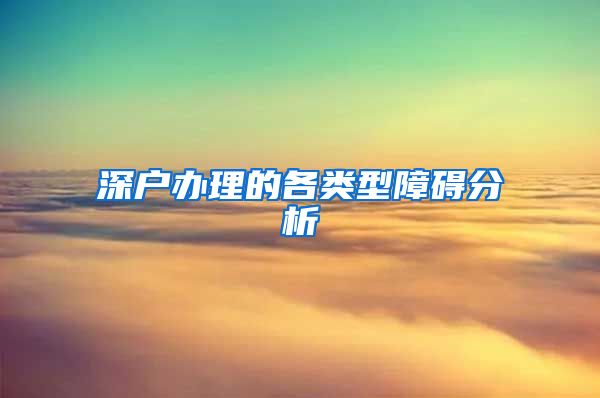 深戶辦理的各類型障礙分析