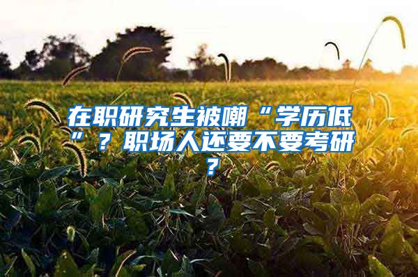 在職研究生被嘲“學(xué)歷低”？職場人還要不要考研？