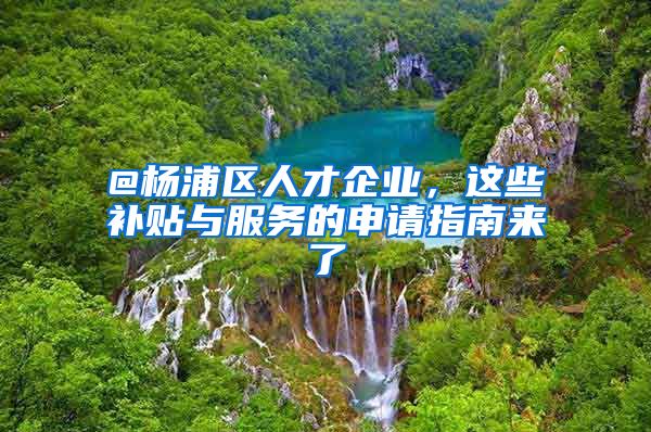 @楊浦區(qū)人才企業(yè)，這些補貼與服務的申請指南來了