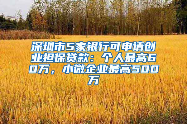 深圳市5家銀行可申請(qǐng)創(chuàng)業(yè)擔(dān)保貸款：個(gè)人最高60萬(wàn)，小微企業(yè)最高500萬(wàn)