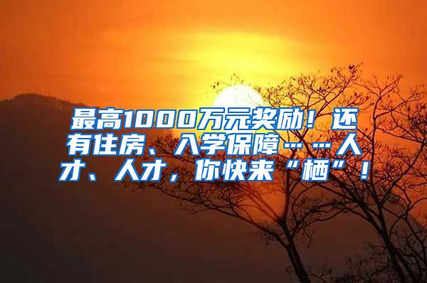 最高1000萬元獎勵！還有住房、入學(xué)保障……人才、人才，你快來“棲”！