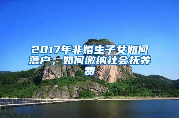 2017年非婚生子女如何落戶，如何繳納社會撫養(yǎng)費