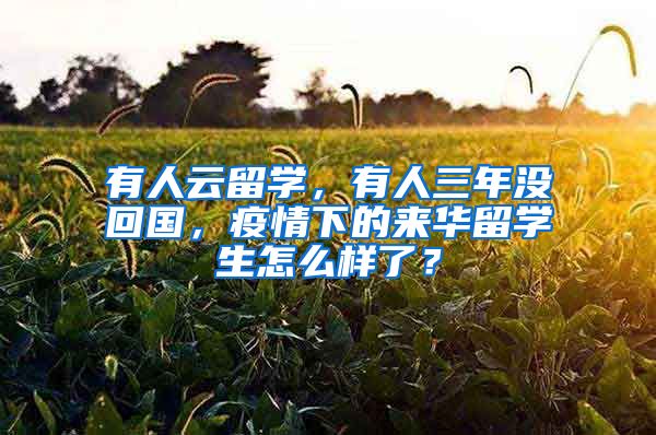 有人云留學(xué)，有人三年沒回國，疫情下的來華留學(xué)生怎么樣了？