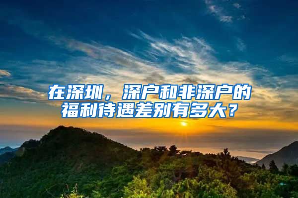 在深圳，深戶和非深戶的福利待遇差別有多大？