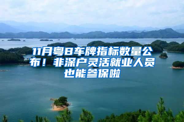 11月粵B車牌指標(biāo)數(shù)量公布！非深戶靈活就業(yè)人員也能參保啦