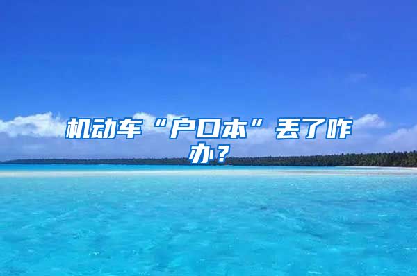 機動車“戶口本”丟了咋辦？