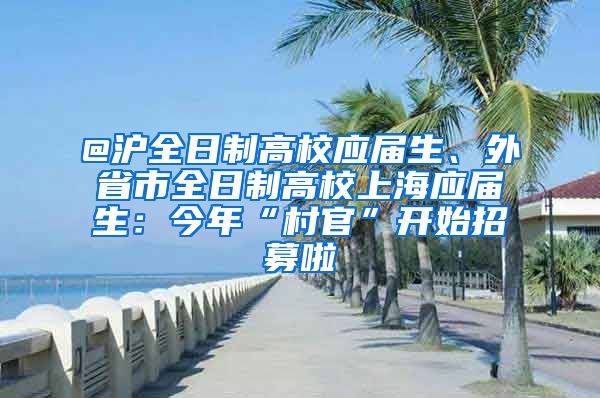 @滬全日制高校應屆生、外省市全日制高校上海應屆生：今年“村官”開始招募啦