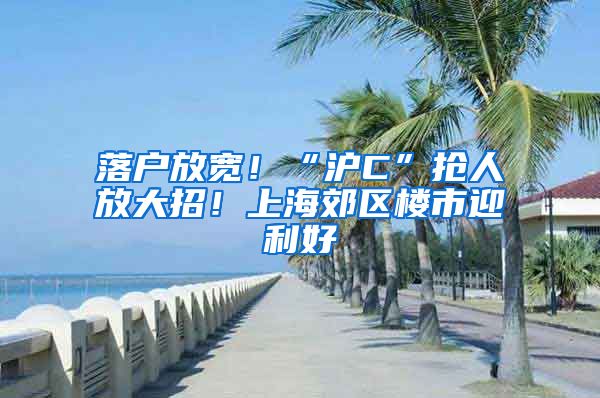 落戶放寬！“滬C”搶人放大招！上海郊區(qū)樓市迎利好