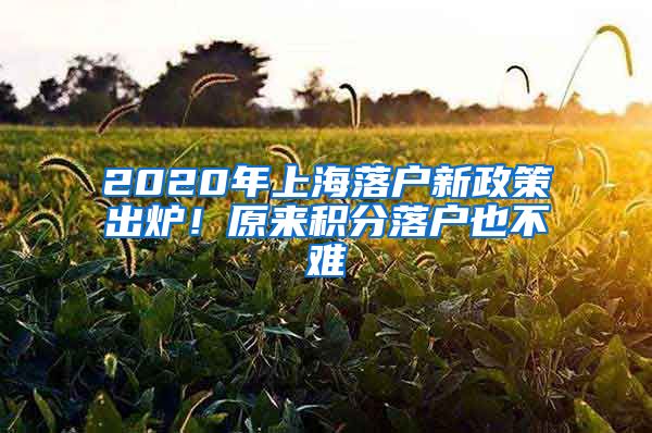 2020年上海落戶新政策出爐！原來(lái)積分落戶也不難