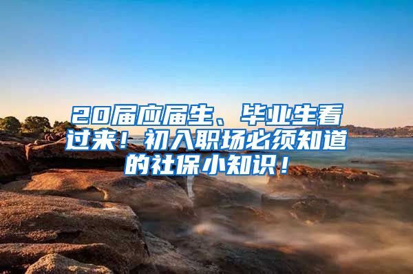 20屆應屆生、畢業(yè)生看過來！初入職場必須知道的社保小知識！