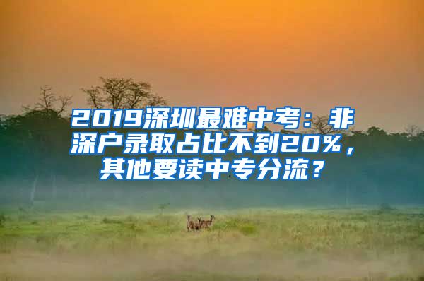 2019深圳最難中考：非深戶錄取占比不到20%，其他要讀中專分流？