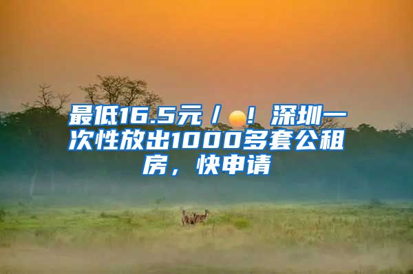 最低16.5元／㎡！深圳一次性放出1000多套公租房，快申請