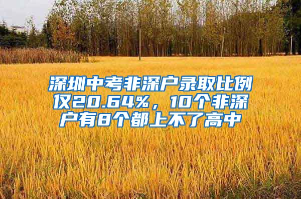 深圳中考非深戶錄取比例僅20.64%，10個(gè)非深戶有8個(gè)都上不了高中