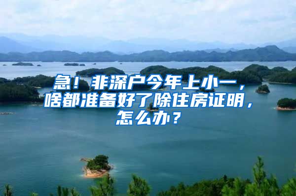 急！非深戶今年上小一，啥都準備好了除住房證明，怎么辦？