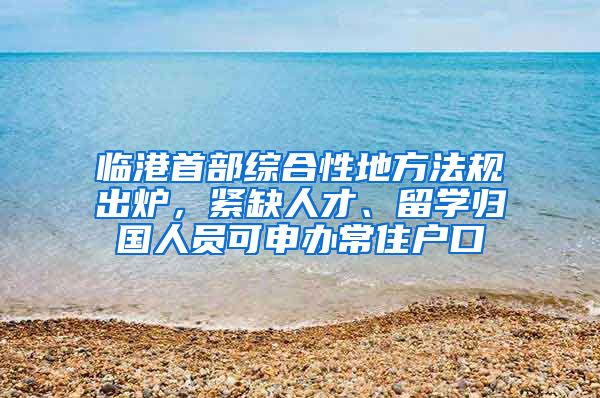 臨港首部綜合性地方法規(guī)出爐，緊缺人才、留學(xué)歸國人員可申辦常住戶口