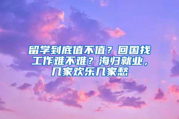 留學(xué)到底值不值？回國(guó)找工作難不難？海歸就業(yè)，幾家歡樂幾家愁