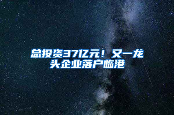 總投資37億元！又一龍頭企業(yè)落戶臨港