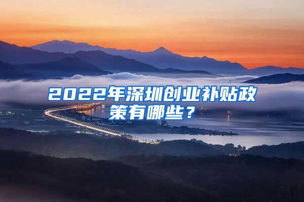 2022年深圳創(chuàng)業(yè)補(bǔ)貼政策有哪些？