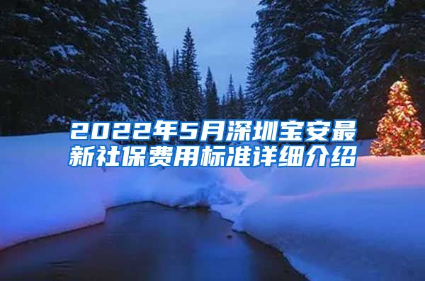 2022年5月深圳寶安最新社保費(fèi)用標(biāo)準(zhǔn)詳細(xì)介紹