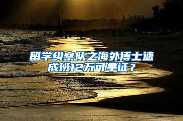 留學(xué)糾察隊之海外博士速成班12萬可拿證？