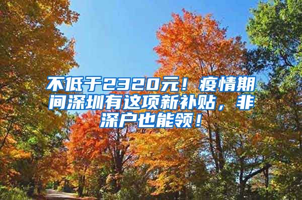 不低于2320元！疫情期間深圳有這項新補貼，非深戶也能領(lǐng)！