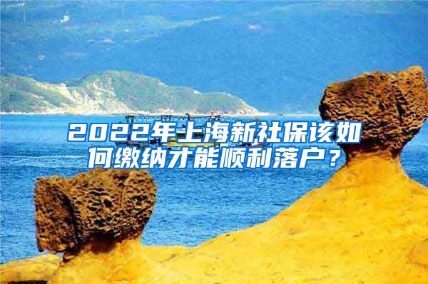 2022年上海新社保該如何繳納才能順利落戶？