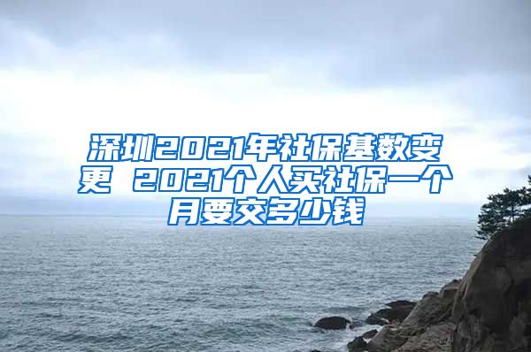 深圳2021年社?；鶖?shù)變更 2021個(gè)人買社保一個(gè)月要交多少錢