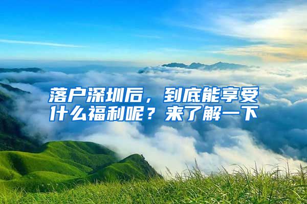 落戶深圳后，到底能享受什么福利呢？來了解一下