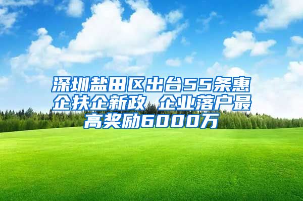 深圳鹽田區(qū)出臺55條惠企扶企新政 企業(yè)落戶最高獎勵6000萬