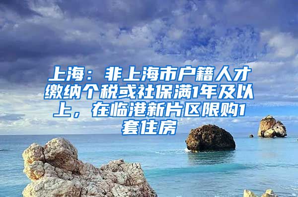 上海：非上海市戶籍人才繳納個稅或社保滿1年及以上，在臨港新片區(qū)限購1套住房